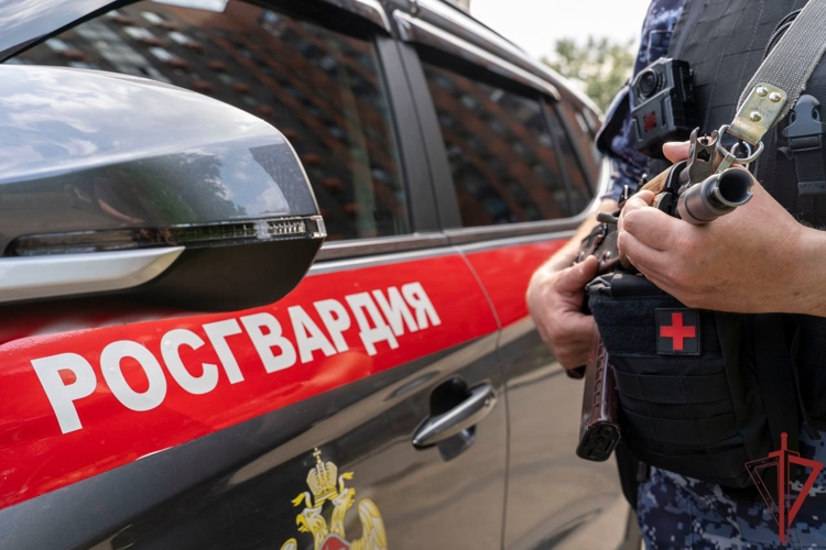В Москве росгвардейцы задержали дебошира, повредившего автомобили (видео)