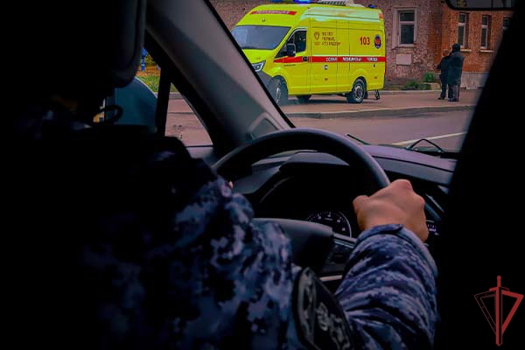 Росгвардейцы оказали первую помощь москвичке с травмой головы на Щёлковском шоссе (видео)