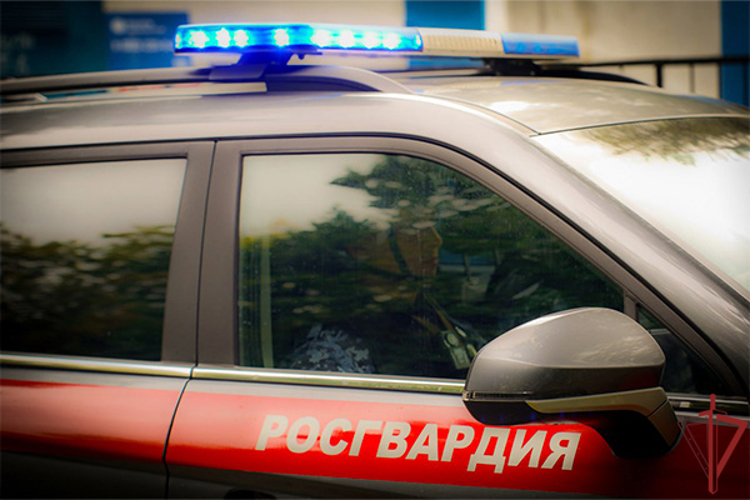 Росгвардейцы задержали дебошира в московском МФЦ