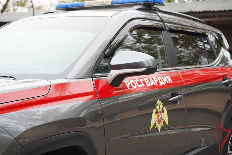 Столичные росгвардейцы задержали подозреваемого в нападении на студентов (видео)