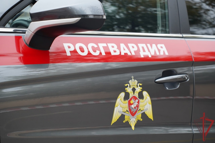 В Москве росгвардейцы задержали дебошира, устроившего погром в отеле (видео)