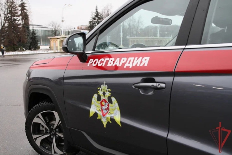 Московские росгвардейцы задержали мужчину, подозреваемого в совершении кражи из магазина (видео)