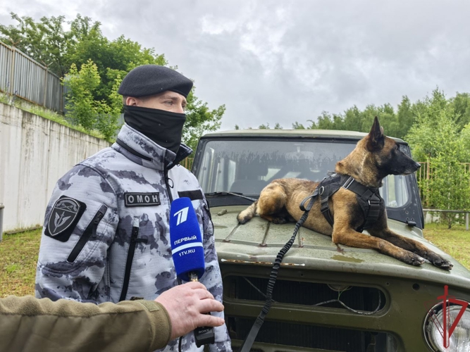 Главное управление Росгвардии по городу Москве поздравляет работников телевидения с профессиональным праздником