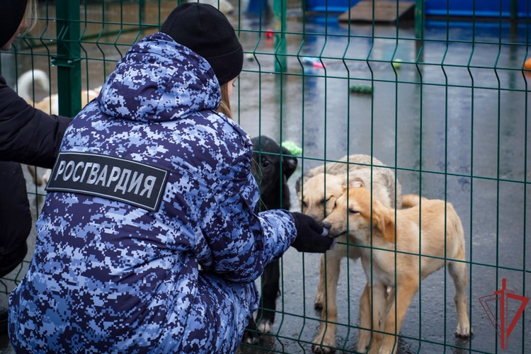 Московские росгвардейцы организовали благотворительную акцию в приюте для животных (видео)