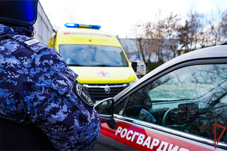 В Москве росгвардейцы помогли женщине с черепно-мозговой травмой (видео)