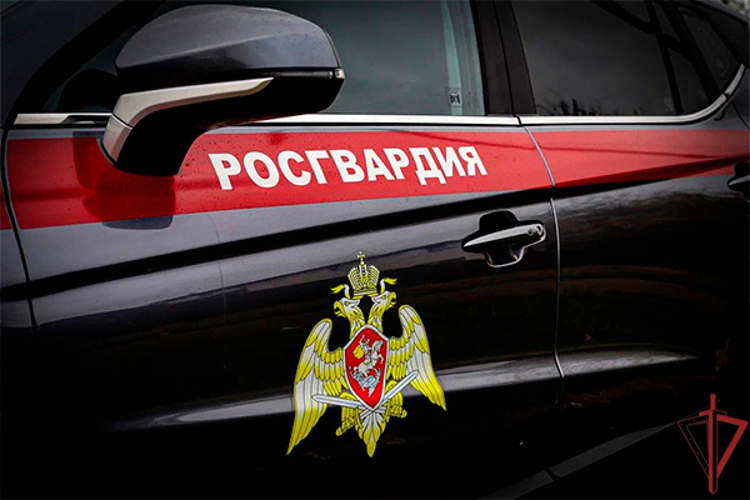 В Москве росгвардейцы задержали женщину с метилэфедроном (видео)