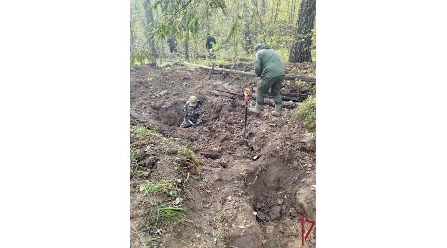 В День Неизвестного Солдата сотрудник столичного спецподразделения Росгвардии рассказал о поисковой деятельности