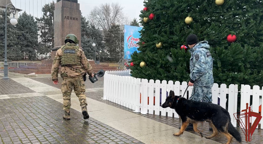 Росгвардия подвела итоги охраны общественного порядка новогодних праздников  (видео)