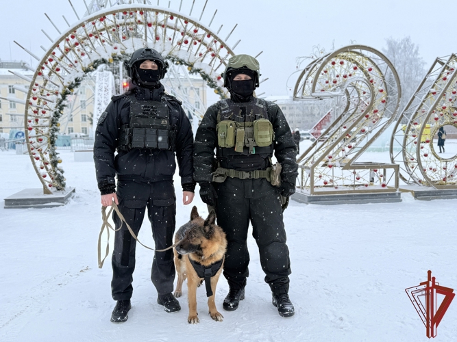 Росгвардия подвела итоги охраны общественного порядка новогодних праздников  (видео)