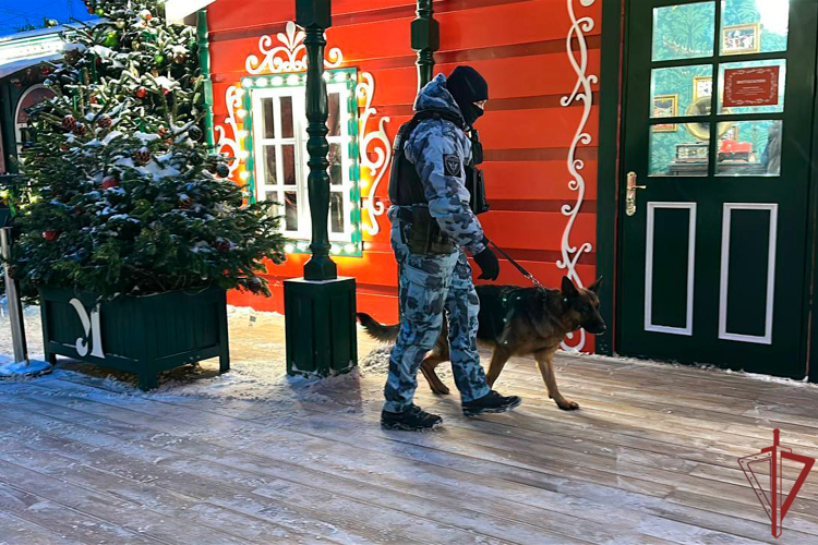 Cтоличные росгвардейцы приняли участие в обеспечении правопорядка и безопасности в новогоднюю ночь