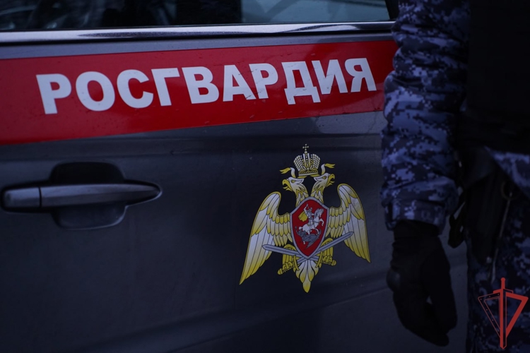 В Москве сотрудники Росгвардии предотвратили  мошенничество в отношении 79-летней пенсионерки (видео)