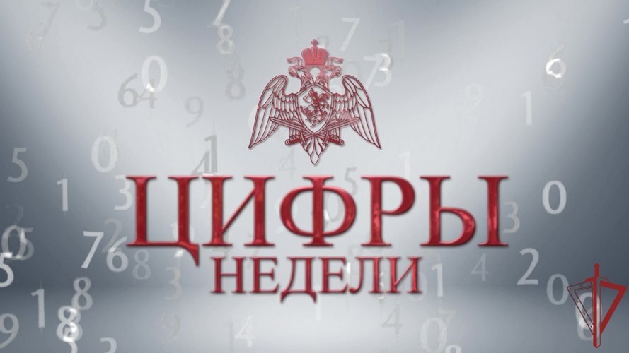   Итоги служебно-боевой деятельности за неделю подвели в столичном главке Росгвардии