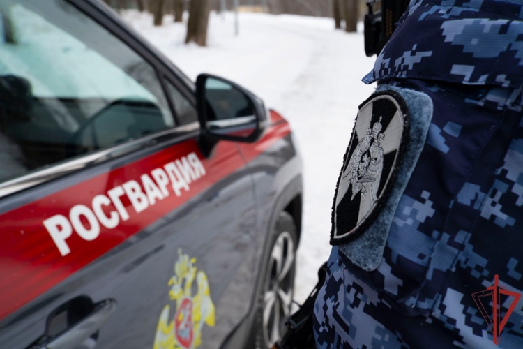 Столичные росгвардейцы задержали неплательщика алиментов (видео)
