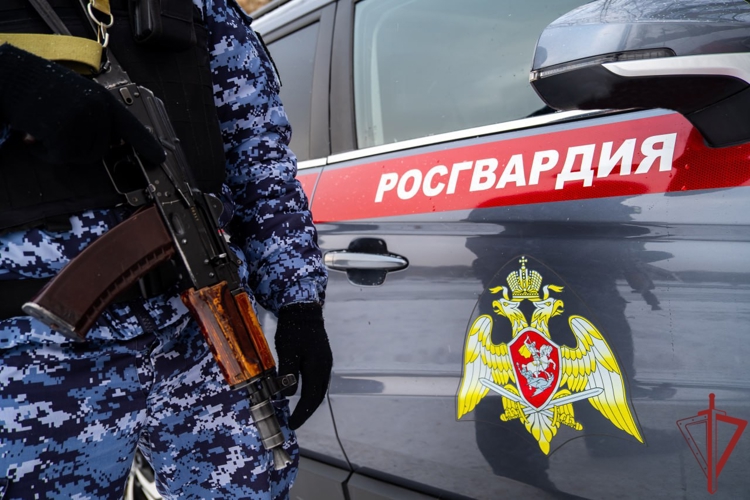 Столичные росгвардейцы задержали мужчину, проникшего на охраняемый объект (видео)