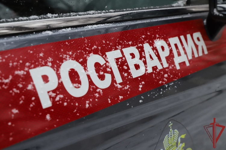 Столичные росгвардейцы задержали мужчину с наркотиками в коробке из-под телефона (видео)