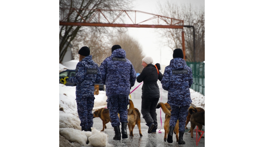 Росгвардейцы оказали помощь одному из приютов для животных на юге Москвы (видео)