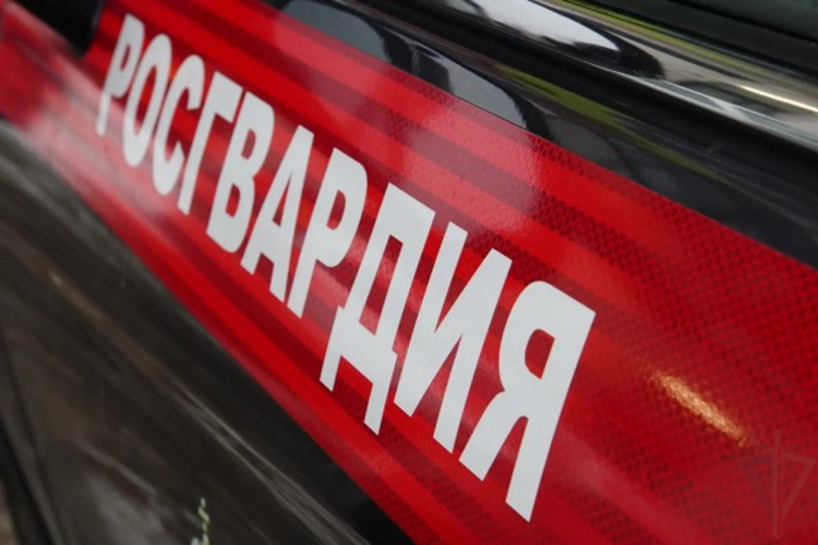 Столичные росгвардейцы задержали курьера, ударившего охранника (видео)