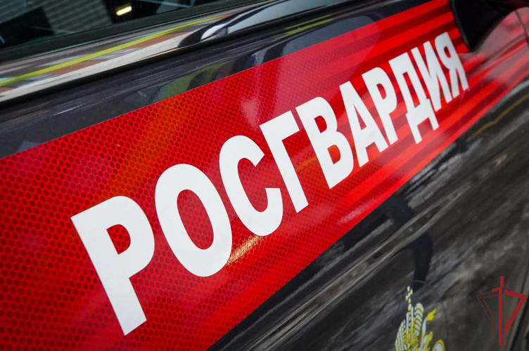 Столичные росгвардейцы задержали курьера, пытавшегося пронести в медицинское учреждение наркотики, спрятанные в упаковке от продуктов питания (видео)
