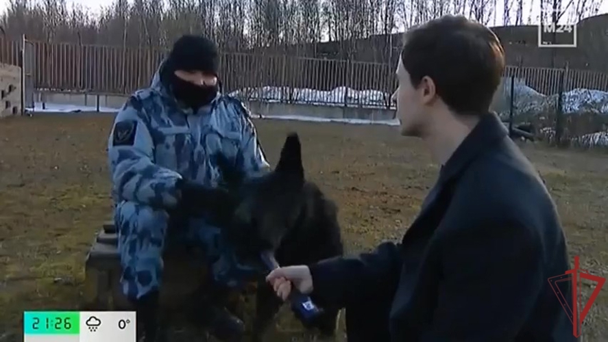 Когда техника бессильна: кинологи ОМОН "Авангард" и их собаки (видео)