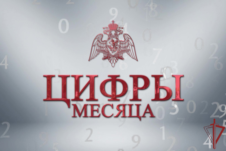 Итоги служебно-боевой деятельности за месяц подвели в столичном главке Росгвардии