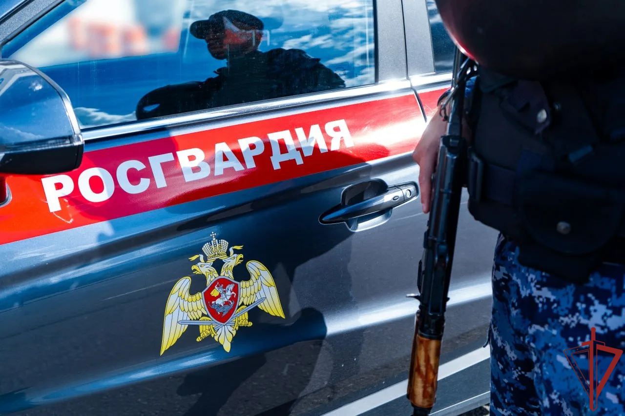 Безопасность в надежных руках: Дмитровское ОВО на страже правопорядка 9 Мая