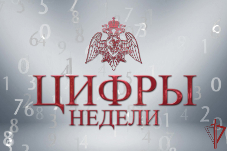 В столичном главке Росгвардии подвели итоги служебно-боевой деятельности за неделю