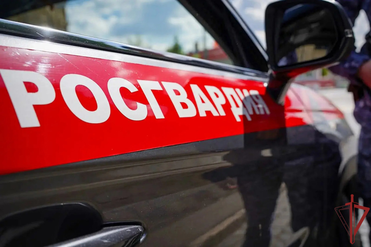Московские росгвардейцы задержали мужчину, причинившего вред здоровью своему оппоненту (видео)