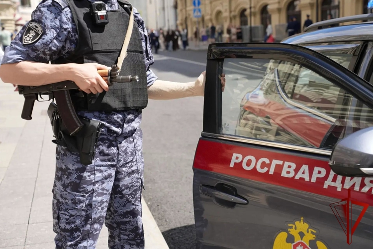 Столичные росгвардейцы задержали гражданина скрывавшегося от правосудия (видео)
