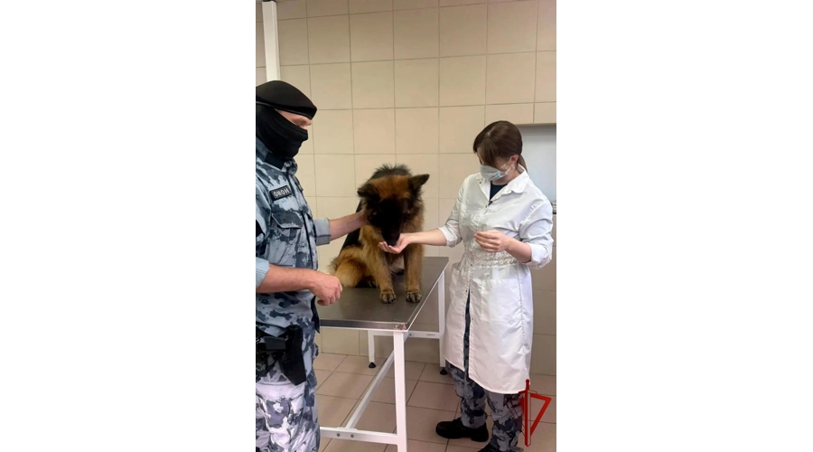 Ветеринары столичного спецподразделения отмечают профессиональный праздник