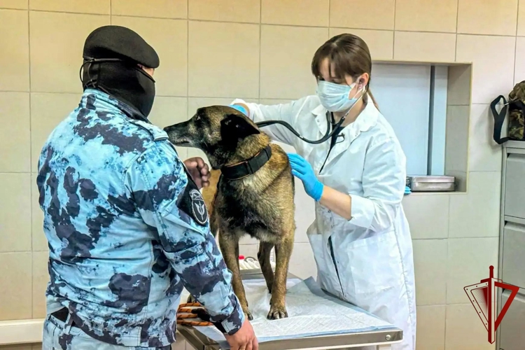 Ветеринары столичного спецподразделения отмечают профессиональный праздник