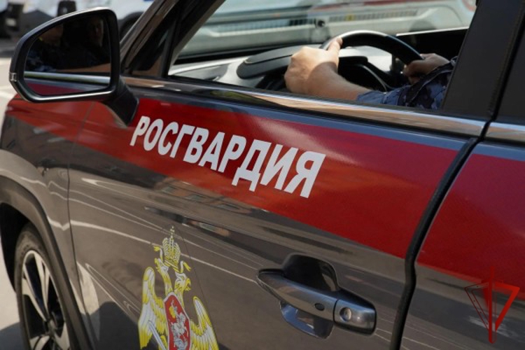 Московские росгвардейцы пришли на помощь семье, у которой сломался автомобиль на проезжей части (Видео)