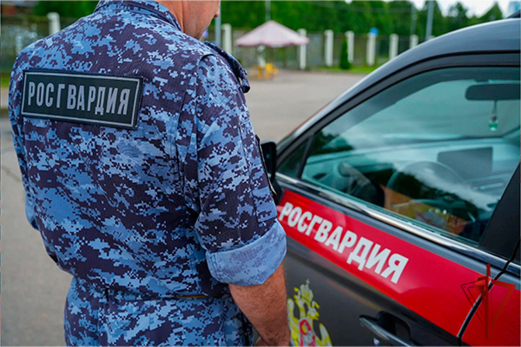 На востоке Москвы сотрудники Росгвардии задержали мужчину, находящегося в федеральном розыске (видео)