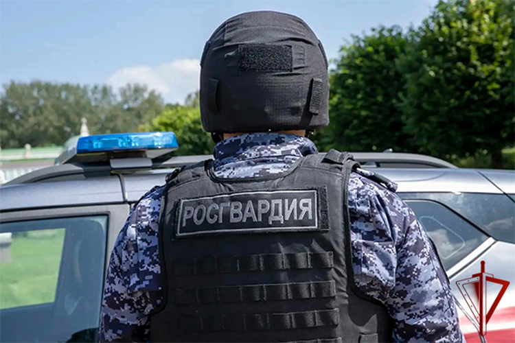 Московские росгвардейцы задержали дебошира, похитившего товар из сетевого супермаркета (видео)