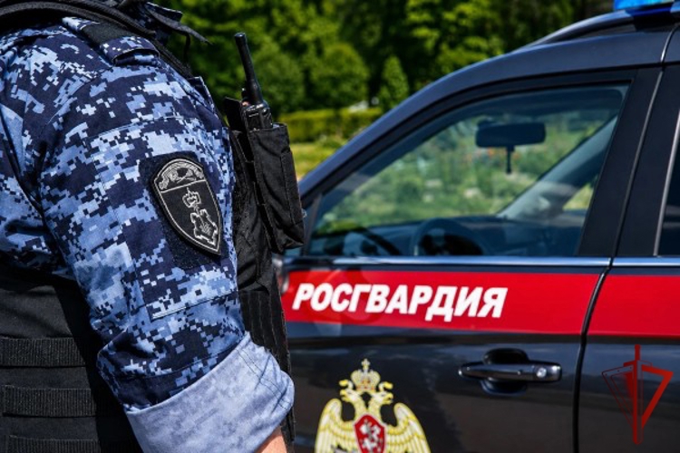 Столичные росгвардейцы задержали мужчину, устроившего дебош в букмекерской конторе (Видео)