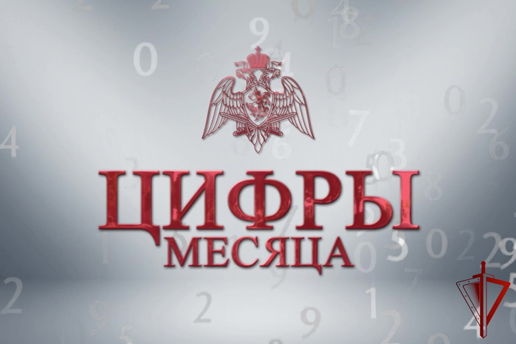 В подразделениях Главного управления Росгвардии по городу Москве подвели итоги служебно-боевой деятельности за прошедший месяц 