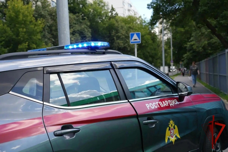 В центре столицы сотрудники вневедомственной охраны Росгвардии пришли на помощь водителям (видео)