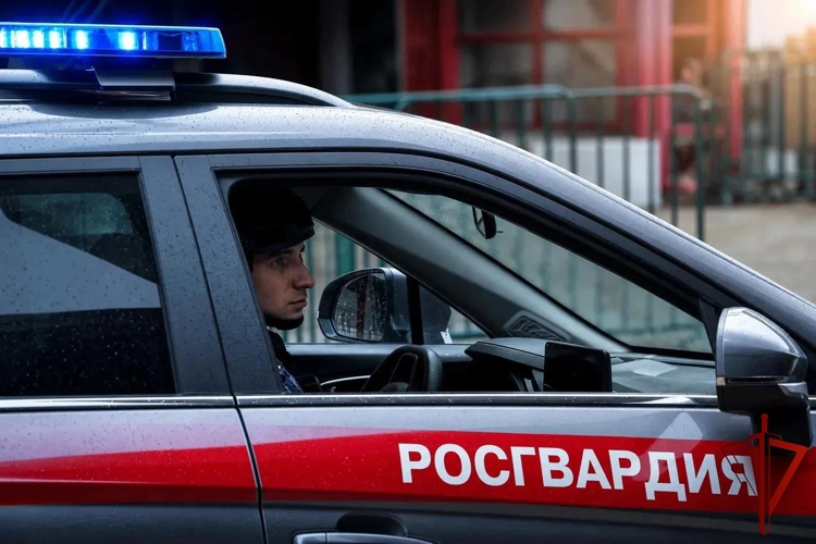 На юго-западе Москвы росгвардейцы задержали мужчину, напавшего на прохожего с топором (видео)