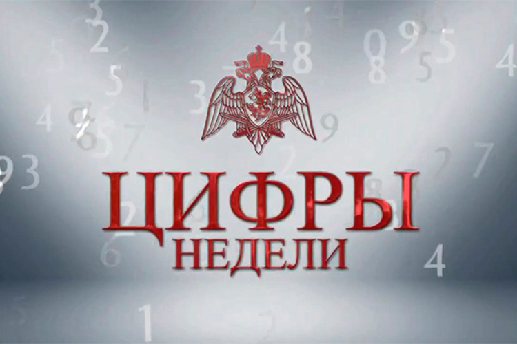 В столичном главке Росгвардии подвели итоги недели