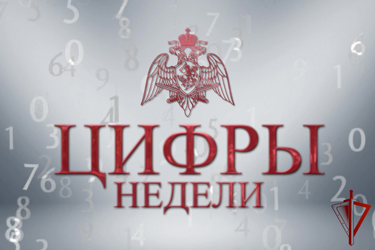 В столичном главке Росгвардии подвели итоги работы за неделю