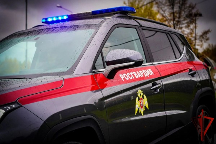 Столичные росгвардейцы задержали мужчину за попытку кражи телевизора из супермаркета