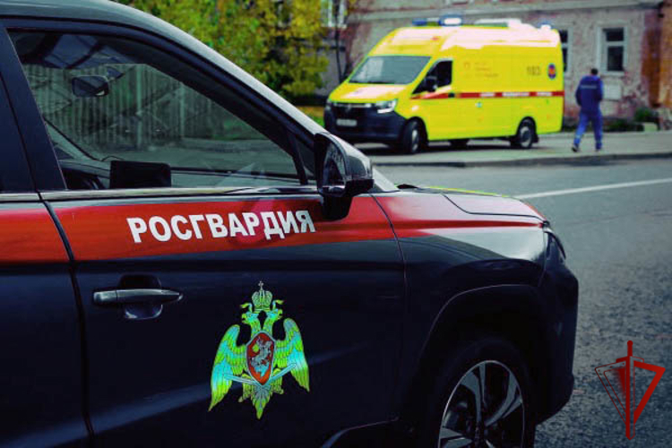 Сотрудник Росгвардии оказал помощь пенсионерке, которой стало плохо на избирательном участке в Москве (видео)