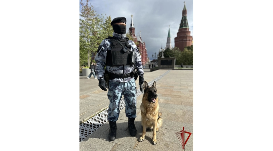 Росгвардия обеспечила безопасность на праздновании Дня города в Москве