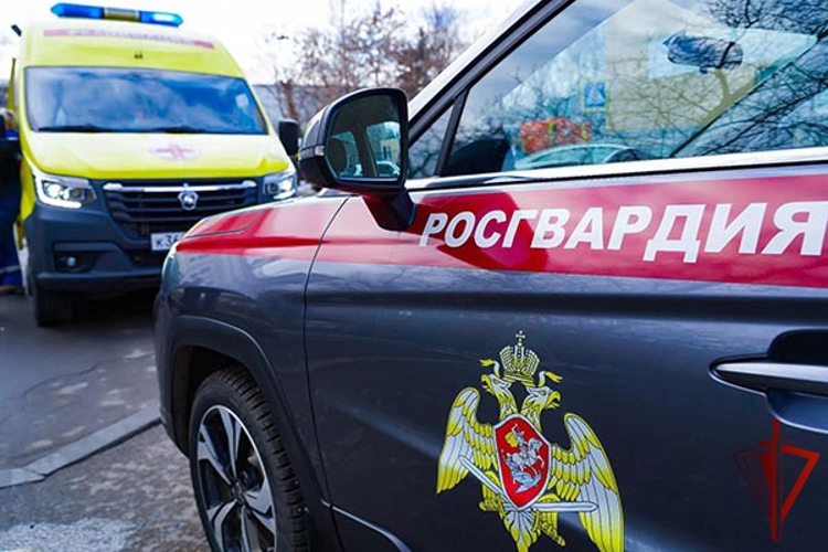 Столичные росгвардейцы помогли пенсионеру, почувствовавшему себя плохо на улице (видео)