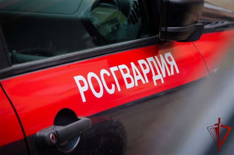 В Москве росгвардейцы задержали гражданина, подозреваемого в краже имущества из чужого авто (видео)
