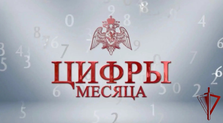 Около 7000 подозреваемых в правонарушениях задержали сотрудники столичного главка Росгвардии за прошедший месяц