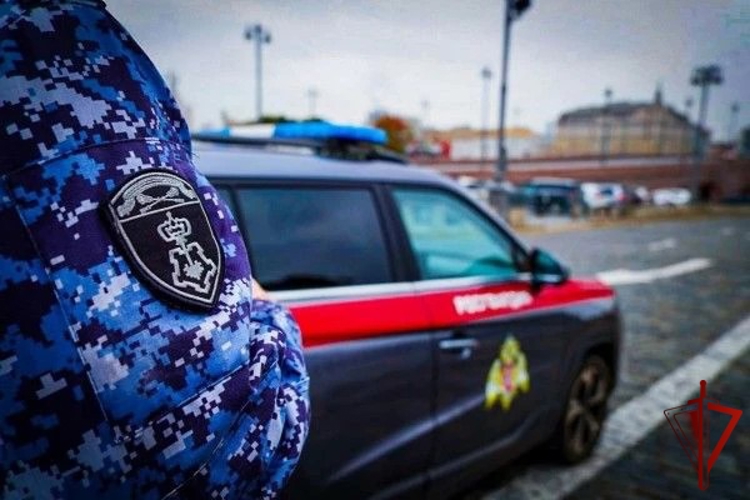 В Москве росгвардейцы помогли потушить загоревшийся автомобиль (видео)
