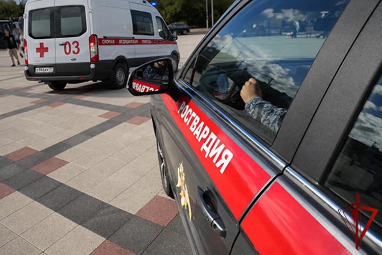 На юге столицы росгвардейцы оказали помощь пожилой москвичке (видео)
